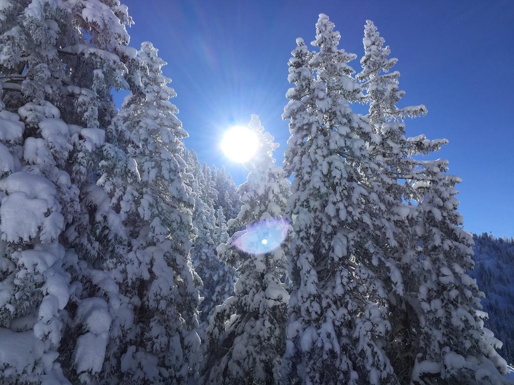 Das Juwel Reith Reith im Alpbachtal Exterior photo